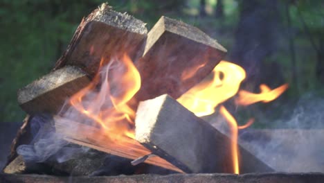 burning firewood on camping fire during summer holiday on nature