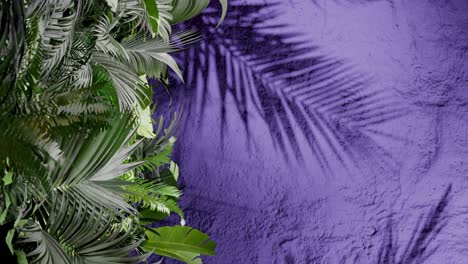 tropical green palm leaves on the left with leaf shadows on a textured purple wall. natural jungle foliage composition. flat lay composition with copy space. summer and nature, wallpaper vertical