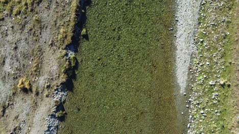 Luftaufnahme-über-Einem-Klaren-Fluss,-Der-über-Ein-Kiesbett-Mit-Grasbewachsenen-Ufern-Fließt