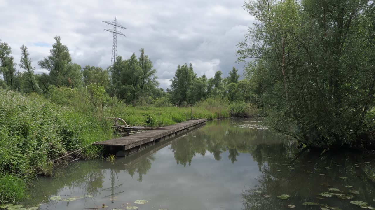 parque nacional de biesbosch en los países bajos con pilares eléctricos en el fondo