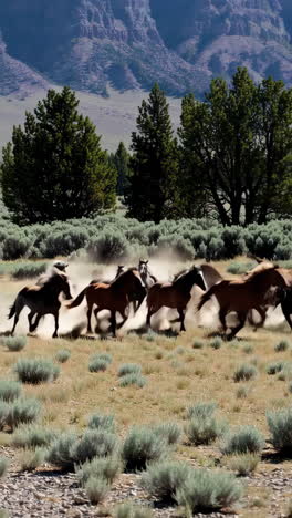 wild horses running in a mountain valley