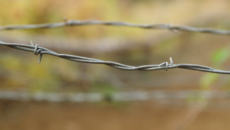 wire obstacle