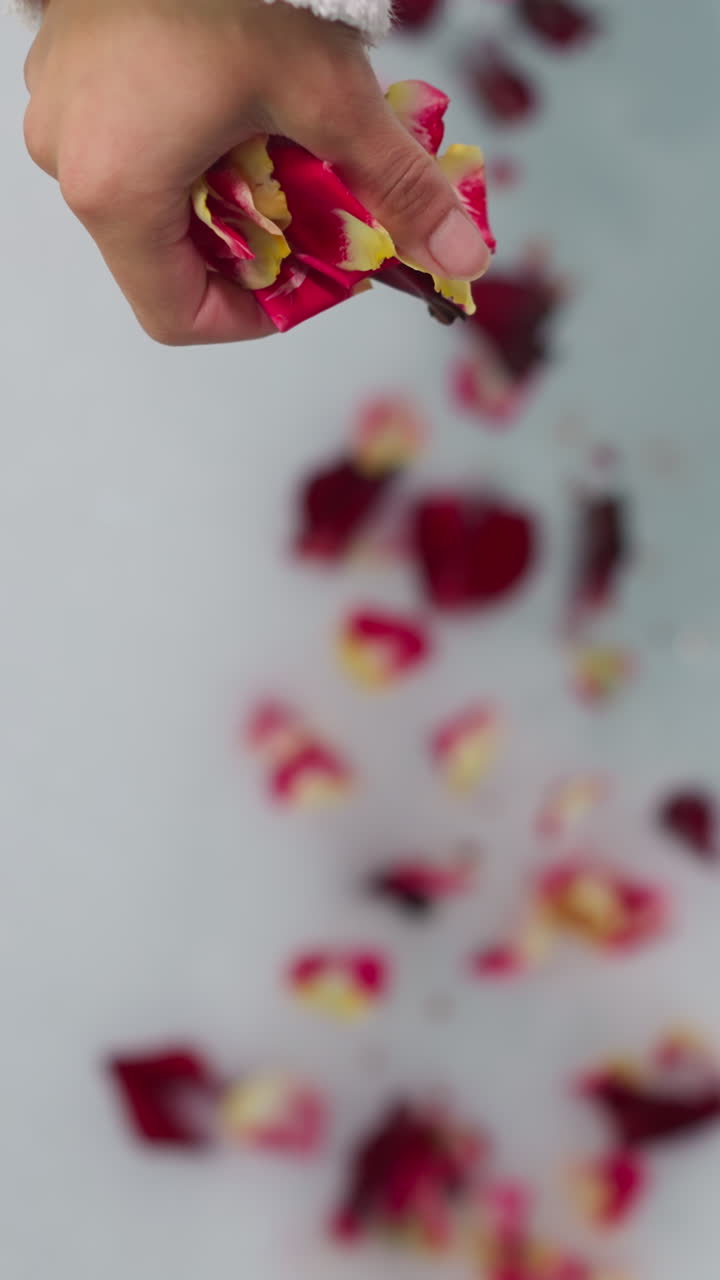 꽃잎을 거품 같은 물에 부어 부드러운 목욕복을 입은 여자가 뜨거운 물에 장미를 넣어 목욕을 준비하고 휴식 절차를 준비합니다.