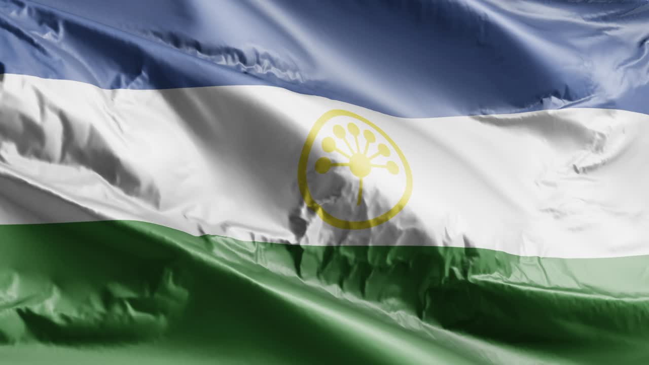 바쉬코르토스탄의 발이 바람에 흔들리고, 바쉬 코르토스탄 발은 바람에 휘어지고, 배경은 완전히 채워지고, 10 초의 루프가 있습니다.