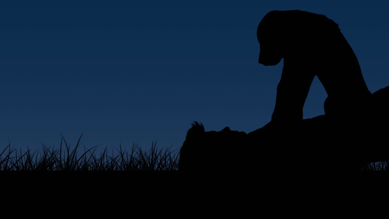 뒷면 에 누워 있는 남성 주인 이 들고 있는 실루 ⁇  된 애완 동물 개 의 애니메이션