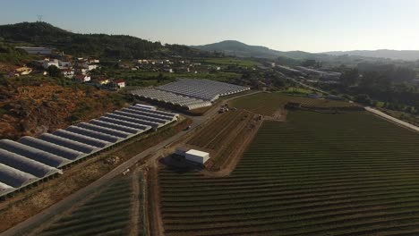 Fliegen-über-Industrielle-Gewächshäuser-Und-Landwirtschaftliche-Felder