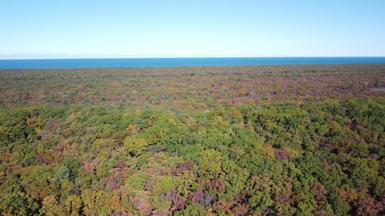 Aerial Drone Footage of Sand Dunes and Oak Savannah Forest at Pinery Ontario