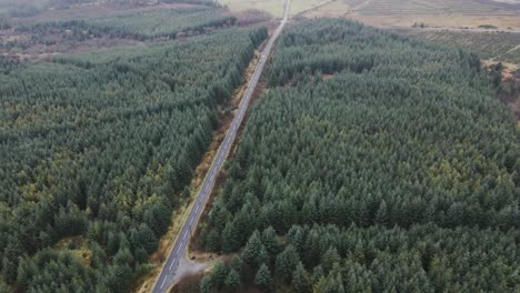 High-aerial-view-over-evergreen-forest-and-country-road,-tilt-up