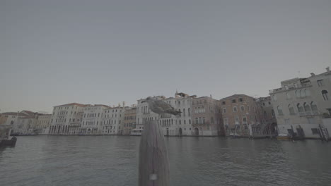 gull on pier in venetian canal