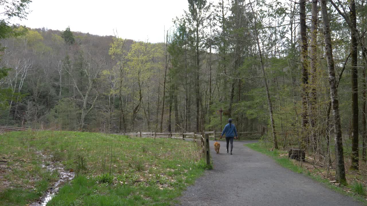 Healthy lifestyle Puerto Rican girl walking family dog in autumn woodland forest hiking trail