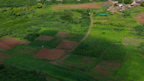 La-Sombra-De-Las-Nubes-Pasa-Sobre-Los-Campos-De-Cultivo-De-Westpunt-En-El-Valle-Tropical-De-Curazao.