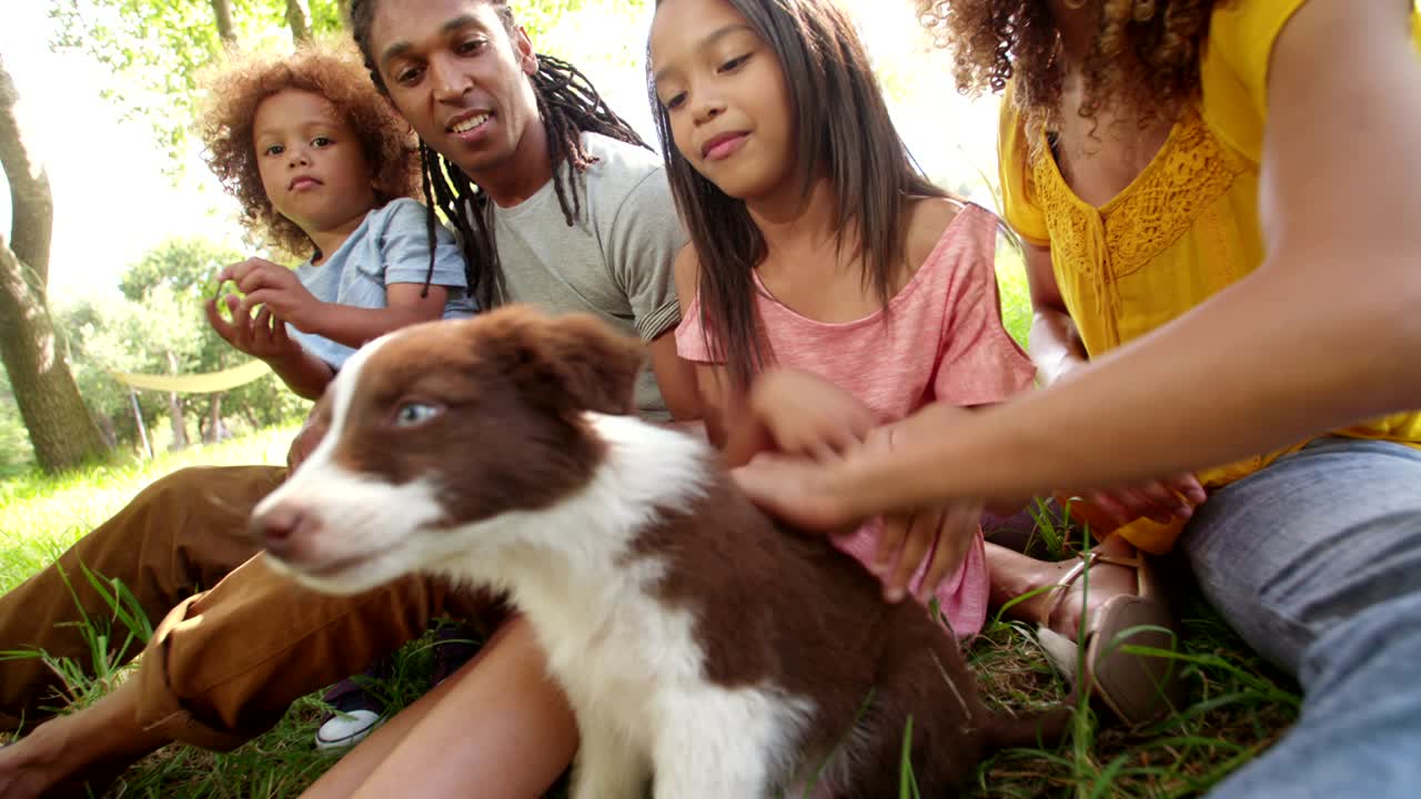 el apuesto papá se ríe mientras su hermosa esposa recibe besos de cachorro.