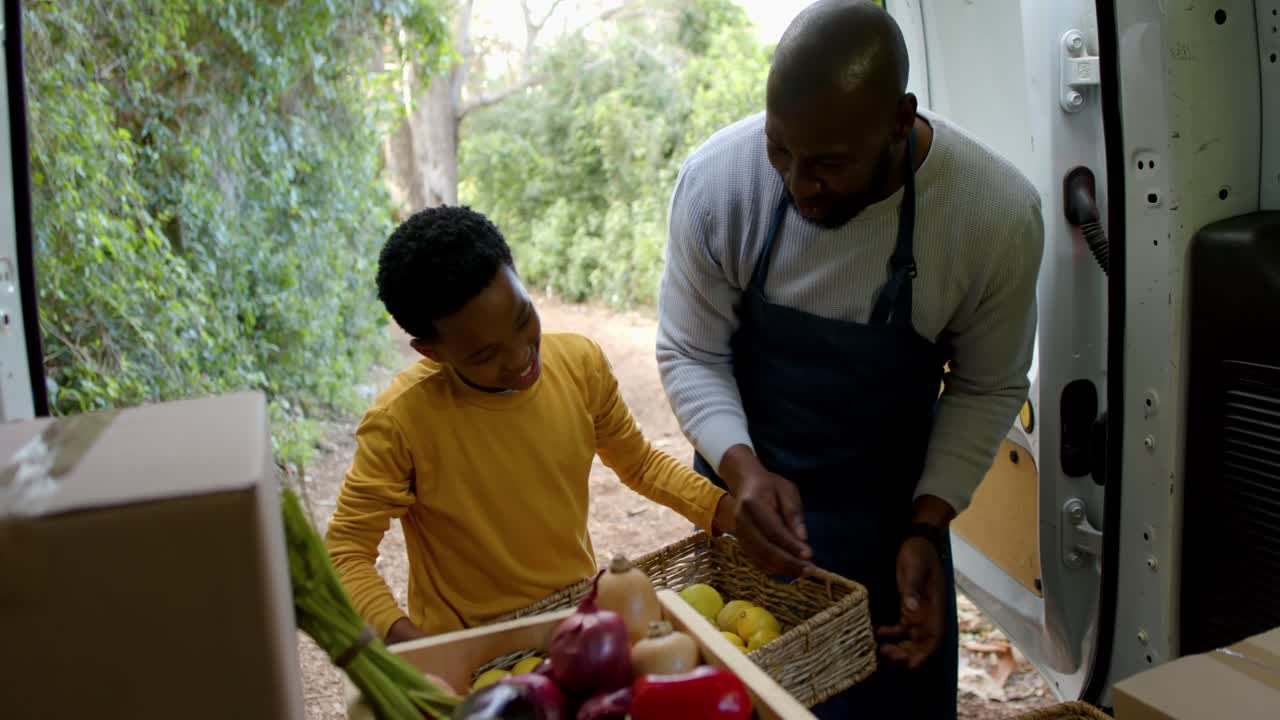 African American father and son after gesture, selecting lemons from crate, filling baskets by van