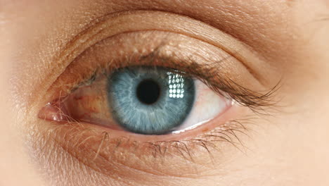 focus, blink and sight with blue eye closeup