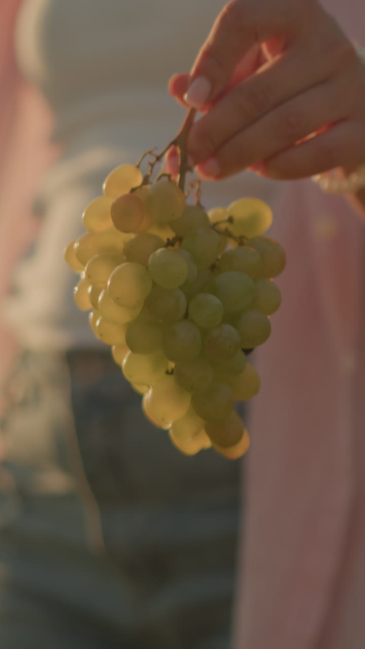 primer plano de la mano de una mujer sosteniendo suavemente un ramo de uvas verdes al aire libre, bañada en la cálida luz del sol, el fondo muestra un paisaje pacífico y borroso