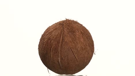 Single Coconut on White Background