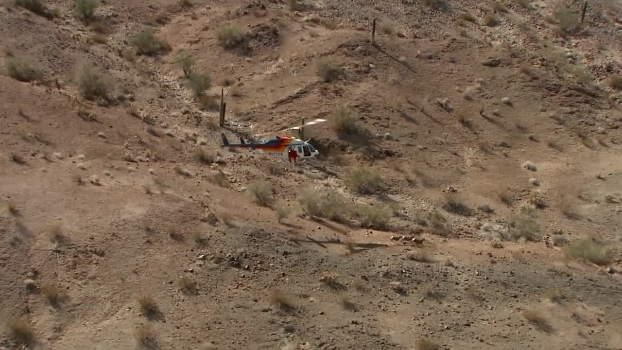 애리조나의 코파 야생 보호 구역에서 꼬리표를 달고 방생하는 큰뿔양