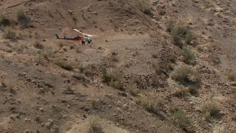 Bighorn-Sheep-Are-Trailed-Tagged-And-Released-On-Arizona'S-Kofa-Wildlife-Reserve