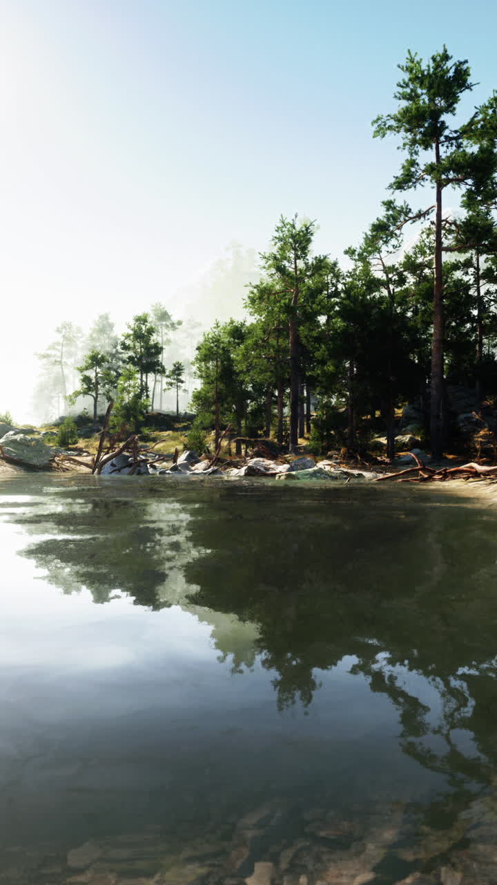 조용한 숲 호수