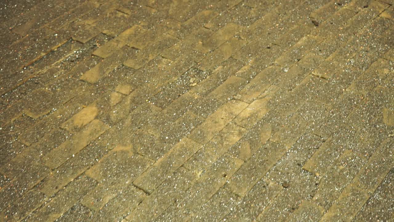 반이는 벽돌 바닥