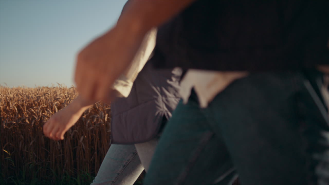 농학자 팀이 함께 들판을  ⁇ 고 있습니다. 손은 태블릿 클로즈업을 들고 있습니다.