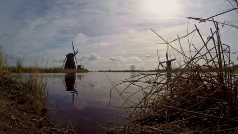 dutch windmills in kinderdijk reflect in the water