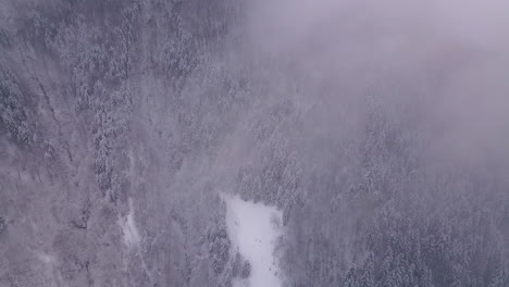 Drohne,-Die-Auf-Gleicher-Höhe-Mit-Wolken-Fliegt-Und-Eine-Malerische-Landschaft-Zeigt,-Die-Aus-Schneebedeckten-Bäumen-Besteht