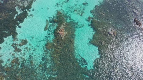 Aerial-of-school-of-fish-sheltering-in-the-calm-turquoise-waters-of-bunker-bay-in-Western-Australia