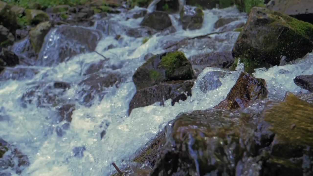Primo piano al rallentatore di un ruscello che scorre su rocce scure e muschio verde, con schizzi di bolle di schiuma, messa a fuoco morbida e texture naturale della foresta.