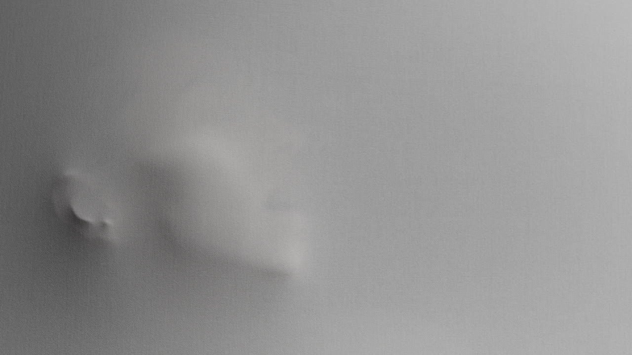 Una silhouette inquietante del volto di una donna appare urlando dalla superficie bianca.