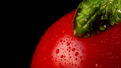 macro view of wet tomato with basil leaves.