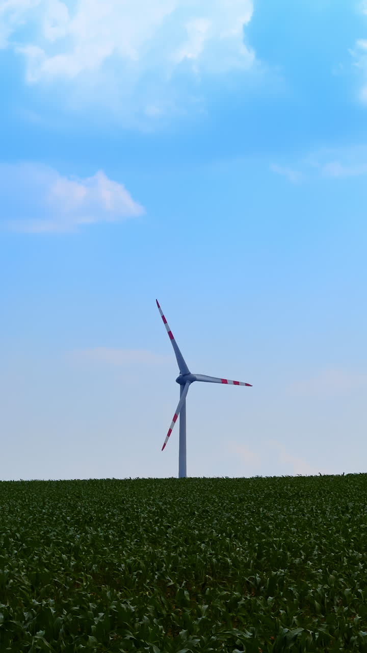 Tall turbine over green fields. A large wind turbine towers above expansive green fields under a clear blue sky during daytime