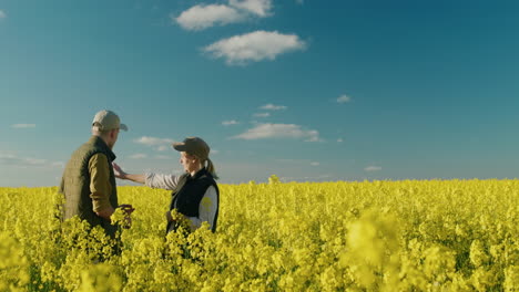 landwirte bei der inspektion eines rapsfeldes