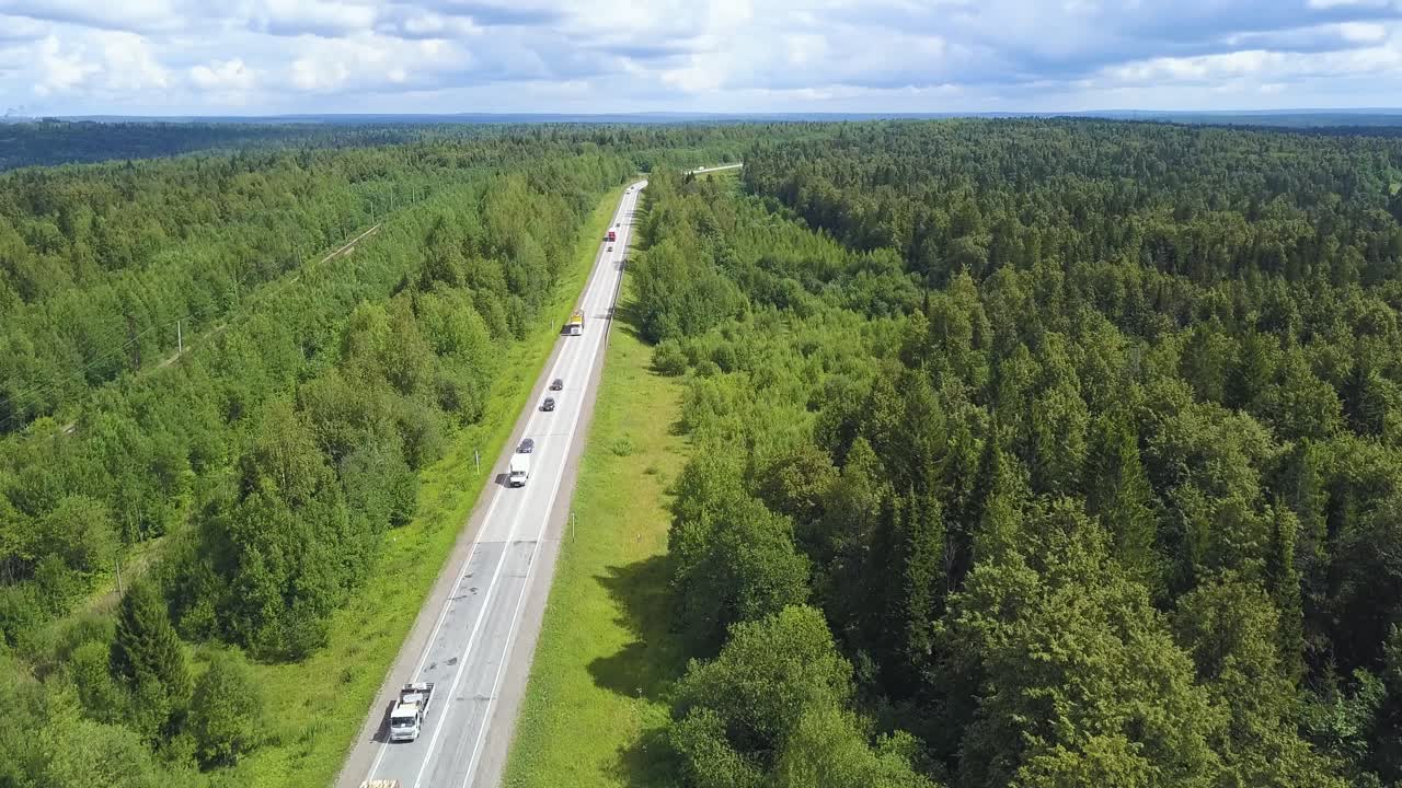 carretera a través del paisaje forestal