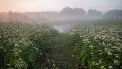 latgale of latvia in the month of june