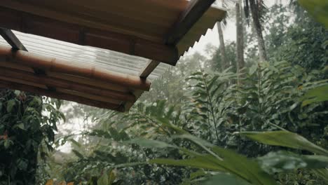 rain flows down from a roof on rainy season with fog on lush foliage