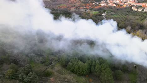 aerial view of forest fire