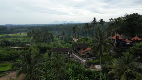 distant volcanoes with fields of coconut trees on a cloudy morning in bali, aerial