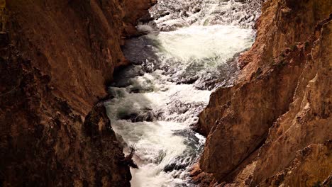 rapids in the yellowstone river in yellowstone national park in wyoming