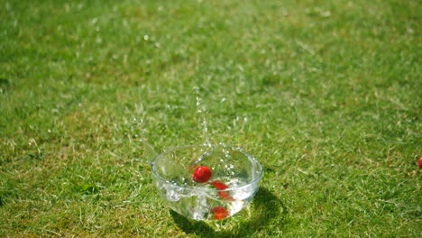 many strawberries in one bowl