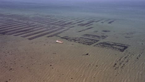 granja de ostras con barcaza y filas de ostras en el mar, órbita de drones