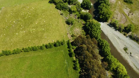 Río-En-Verano-Con-árboles-Y-Bancos-De-Hierba