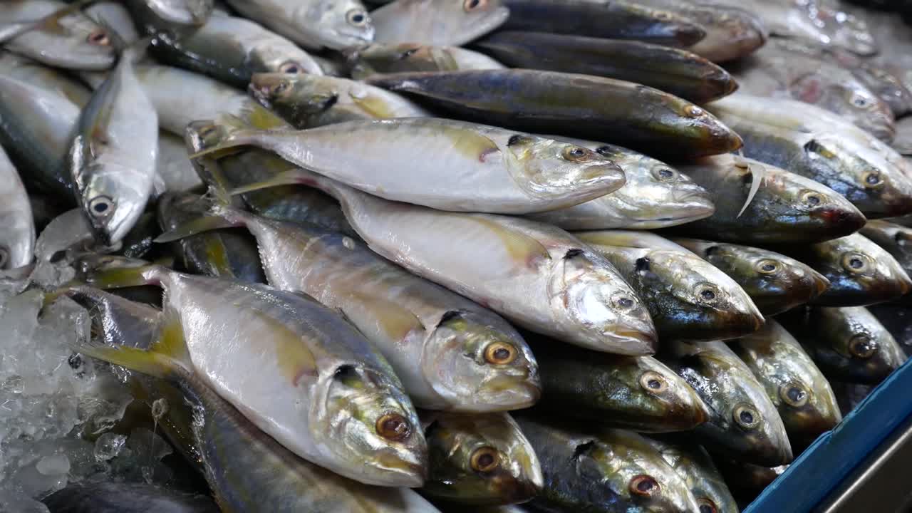 imágenes de primer plano de los montones de caballa fresca que se exhiben en el mercado