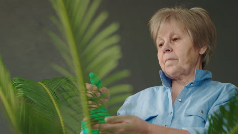 senior woman caring for houseplants
