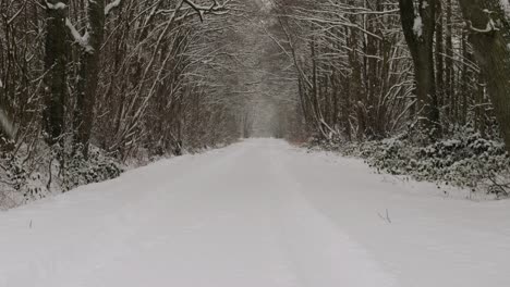 Shot-of-heavy-snowing-caused-by-lake-effect