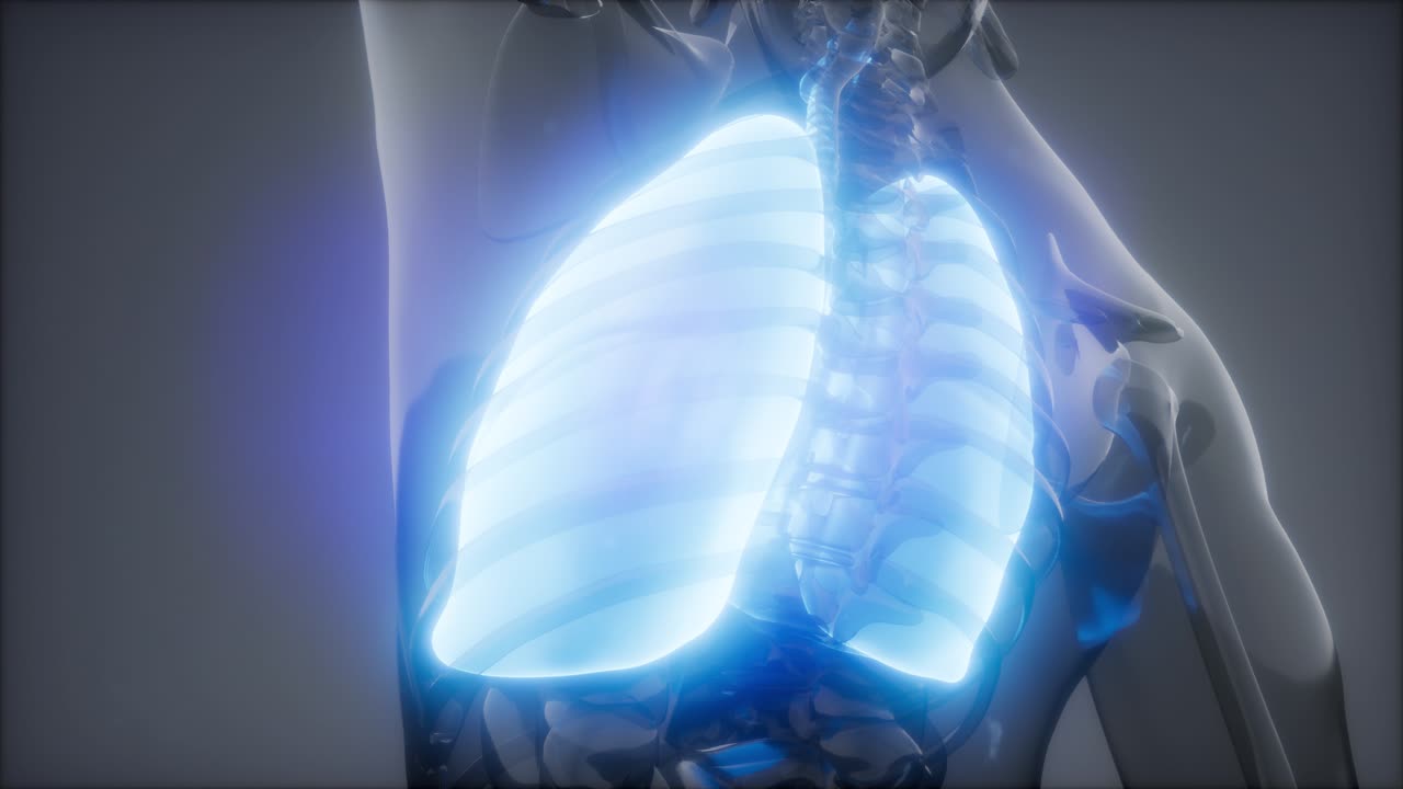 인간의 폐 방사선 검사