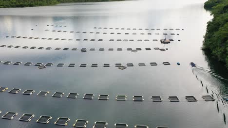 aerial-view-of-net-ponds-with-fish-farming-in-the-river