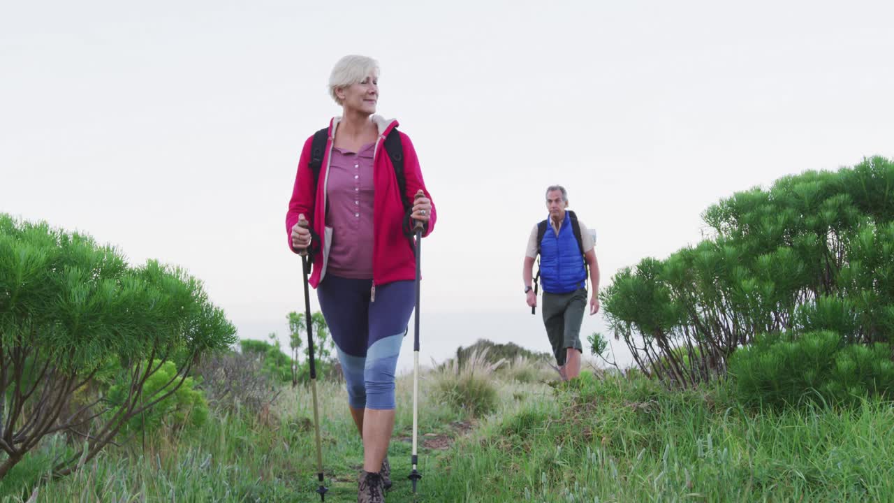 pareja de excursionistas mayores con mochilas y palos de senderismo mientras caminan en el campo de hierba.