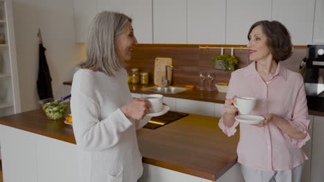 Two-Older-Woman-Friends-Talking-While-Drinking-Coffee-In-The-Kitchen-1