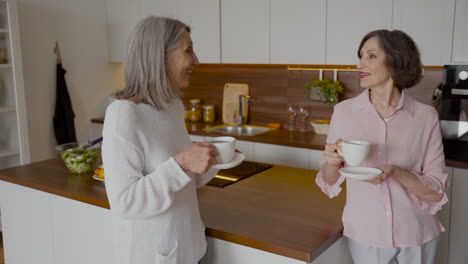 two older woman friends talking while drinking coffee in the kitchen 1